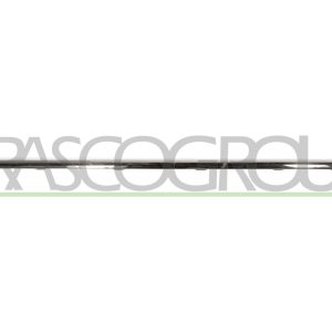 Elemente decorative / protectie bara protectie PRASCO VG0551275 – VW | AutoRival