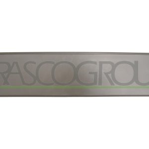 Suport numar de circulatie PRASCO VG0551539 – VW | AutoRival