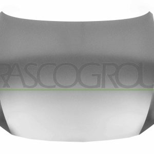 Capota motor PRASCO VG0563100 – VW | AutoRival
