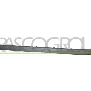 Banda de protectie bara de protectie PRASCO VG0811243 – VW | AutoRival