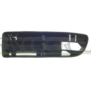 Grila ventilatie bara protectie PRASCO VG0812124 – VW | AutoRival