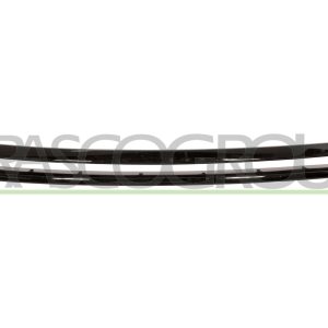 Rama grila radiator PRASCO VG0942305 – VW | AutoRival