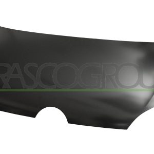 Capota motor PRASCO VG2013100 – VW | AutoRival