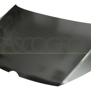 Capota motor PRASCO VG4003100 – VW | AutoRival
