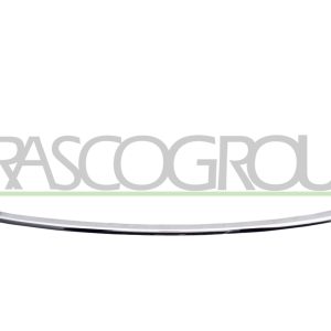 Rama grila radiator PRASCO VG5202226 – VW | AutoRival