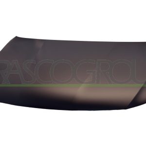 Capota motor PRASCO VG6203100 – VW | AutoRival