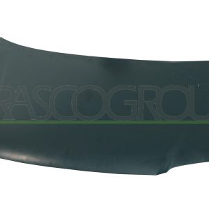 Capota motor PRASCO VG7153100 – VW | AutoRival