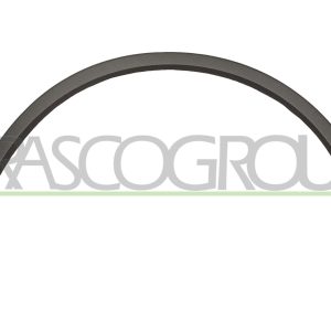 Elemente decorative / protectie aripa PRASCO VG8101581 – VW | AutoRival
