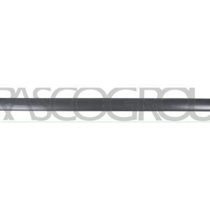 Elemente decorative / protectie portiera PRASCO VG9041403 – VW | AutoRival