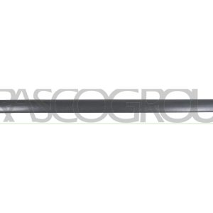 Elemente decorative / protectie portiera PRASCO VG9041404 – VW | AutoRival