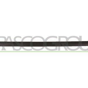 Elemente decorative / protectie portiera PRASCO VG9041453 – VW | AutoRival