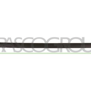Elemente decorative / protectie portiera PRASCO VG9041454 – VW | AutoRival