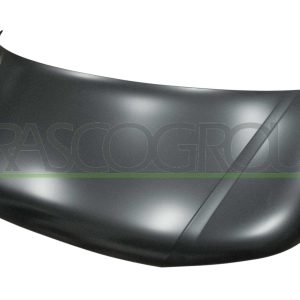 Capota motor PRASCO VG9193100 – VW | AutoRival