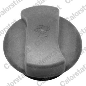Buson vas expansiune CALORSTAT BY VERNET RC0015 – VW | AutoRival
