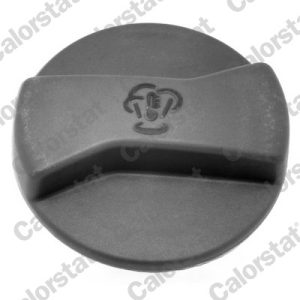 Buson vas expansiune CALORSTAT BY VERNET RC0028 – VW | AutoRival