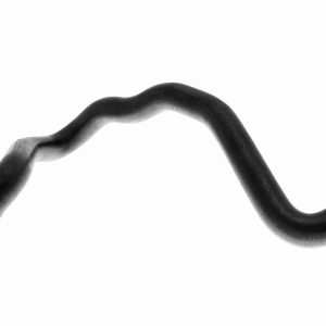 Furtun radiator VAICO V10-2810 – VW | AutoRival