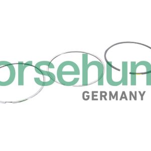 Set segmenti piston BORSEHUNG B10364 – VW | AutoRival