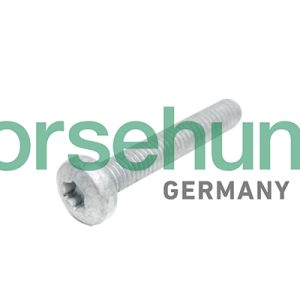 Surub chiulasa BORSEHUNG B10645 – VW | AutoRival