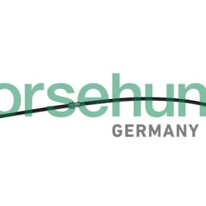 Furtun frana BORSEHUNG B10952 – VW | AutoRival