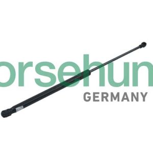 Amortizor capota BORSEHUNG B14186 – VW | AutoRival
