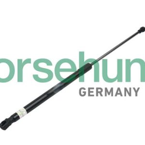 Amortizor capota BORSEHUNG B14189 – VW | AutoRival