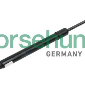 Amortizor portbagaj BORSEHUNG B14190 – VW | AutoRival