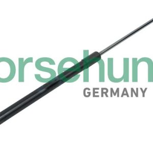 Amortizor portbagaj BORSEHUNG B14191 – VW | AutoRival