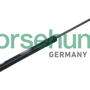 Amortizor portbagaj BORSEHUNG B14192 – VW | AutoRival