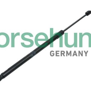 Amortizor portbagaj BORSEHUNG B14195 – VW | AutoRival