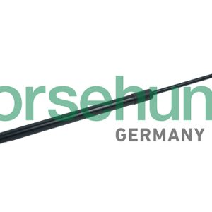 Amortizor capota BORSEHUNG B18451 – VW | AutoRival