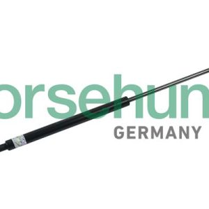 Amortizor capota BORSEHUNG B18454 – VW | AutoRival