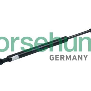 Amortizor portbagaj BORSEHUNG B18457 – VW | AutoRival