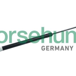 Amortizor portbagaj BORSEHUNG B18458 – VW | AutoRival