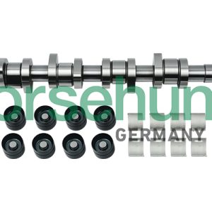 Set ax cu came BORSEHUNG B18664 – VW | AutoRival