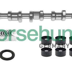 Set ax cu came BORSEHUNG B18665 – VW | AutoRival