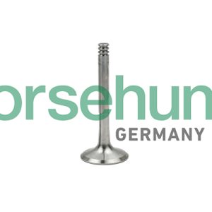 Supapa evacuare BORSEHUNG B18997 – VW | AutoRival
