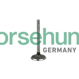 Supapa admisie BORSEHUNG B18998 – VW | AutoRival