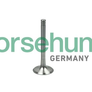 Supapa evacuare BORSEHUNG B19000 – VW | AutoRival