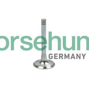 Supapa evacuare BORSEHUNG B19002 – VW | AutoRival