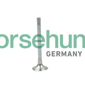 Supapa evacuare BORSEHUNG B19004 – VW | AutoRival