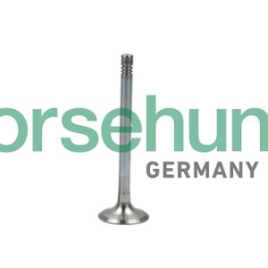 Supapa evacuare BORSEHUNG B19005 – VW | AutoRival