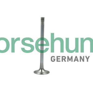 Supapa evacuare BORSEHUNG B19007 – VW | AutoRival