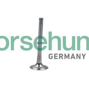 Supapa evacuare BORSEHUNG B19008 – VW | AutoRival