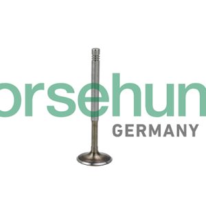 Supapa evacuare BORSEHUNG B19009 – VW | AutoRival