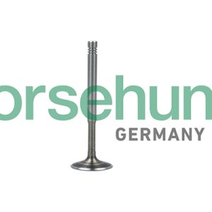 Supapa evacuare BORSEHUNG B19010 – VW | AutoRival