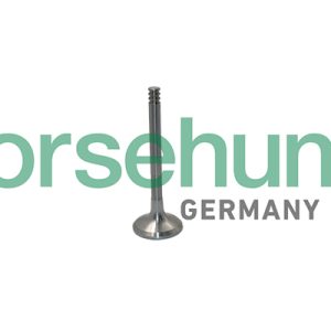 Supapa evacuare BORSEHUNG B19012 – VW | AutoRival
