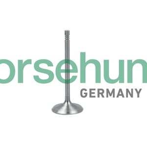 Supapa admisie BORSEHUNG B19017 – VW | AutoRival