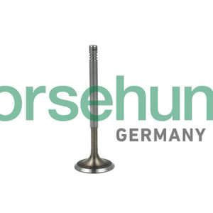 Supapa admisie BORSEHUNG B19019 – VW | AutoRival
