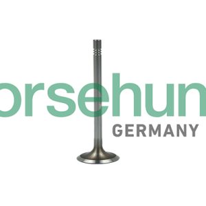 Supapa admisie BORSEHUNG B19022 – VW | AutoRival