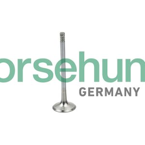 Supapa admisie BORSEHUNG B19025 – VW | AutoRival